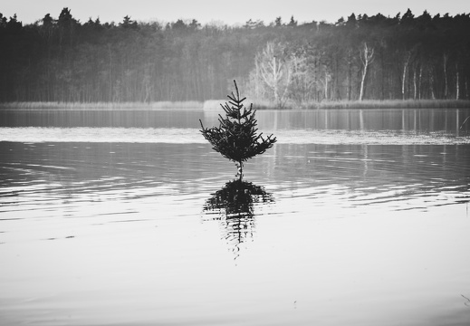 IMG 0034